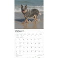 thumbnail image 3 of Australian Cattle Dogs 2025 12 X 24 Inch Monthly Square Wall, 3 of 9