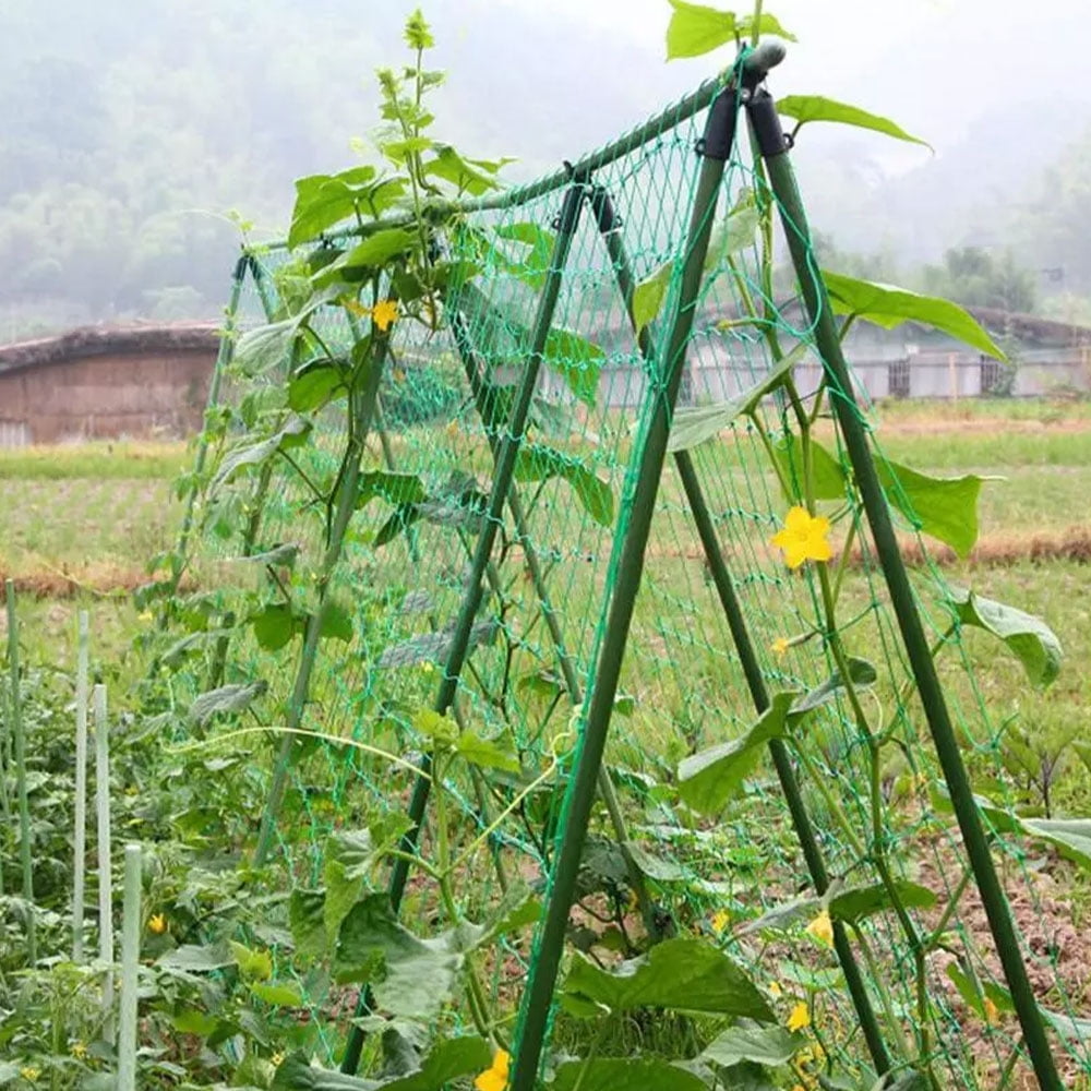 Garden Green Nylon Trellis Netting Support Climbing Bean Plant Net Grow Fence F2 