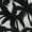 Black Palms