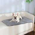 thumbnail image 1 of Self Heating Pet Pad Soft Cat Bed Skin Friendly Washable Thermal Mat For Dogs Cats, With Thickened Design, For Indoor Outdoor Use, 1 of 8