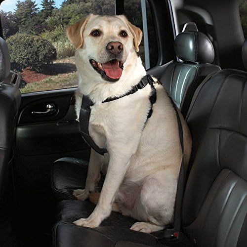 Black Car Harnesses for Dogs Travel Safety Secure Seat Buckle Dog Nylon