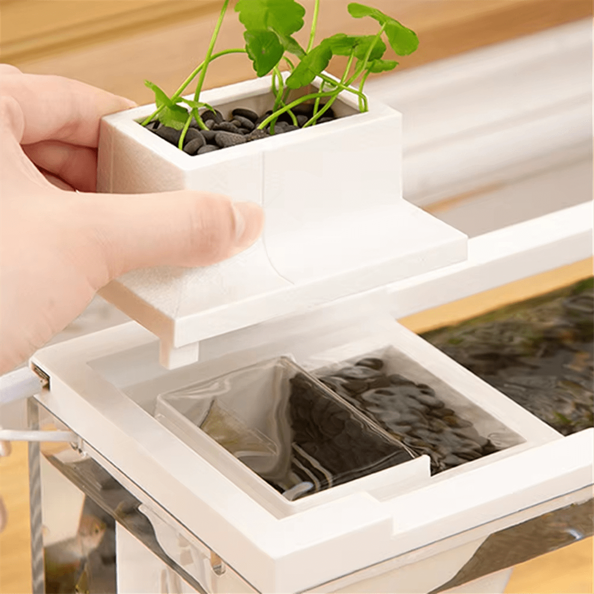 Tiny Fish Tank- Aquarium With Inner Light Mini Landscape