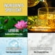 thumbnail image 3 of Espuma limpiadora MAXCLINIC PuriteAtoc Clarifying 115 ml, 3 of 6