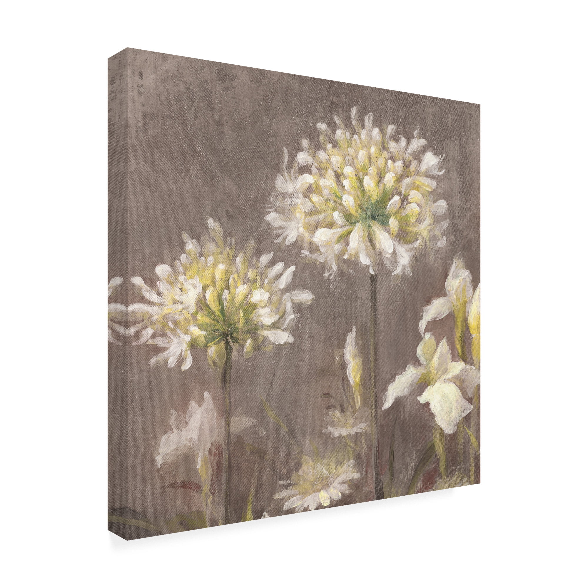 Trademark Fine Art 'Spring Blossoms Neutral III' Canvas Art by Danhui Nai