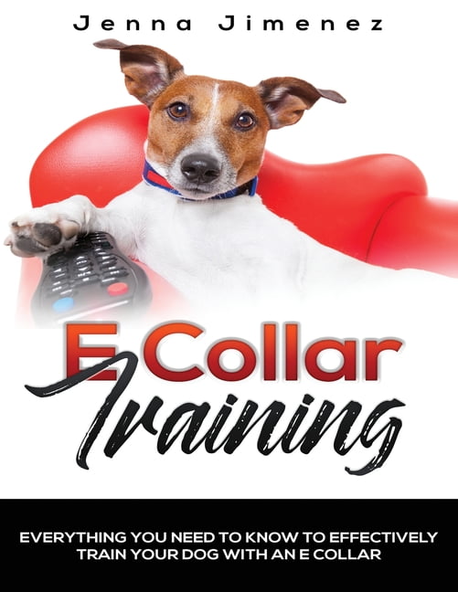 E Collar Training Everything You Need to Know to Effectively Train