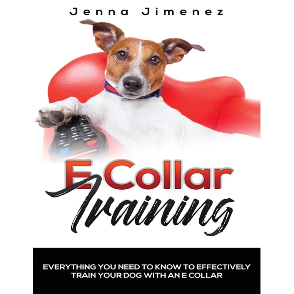 E Collar Training Everything You Need to Know to Effectively Train