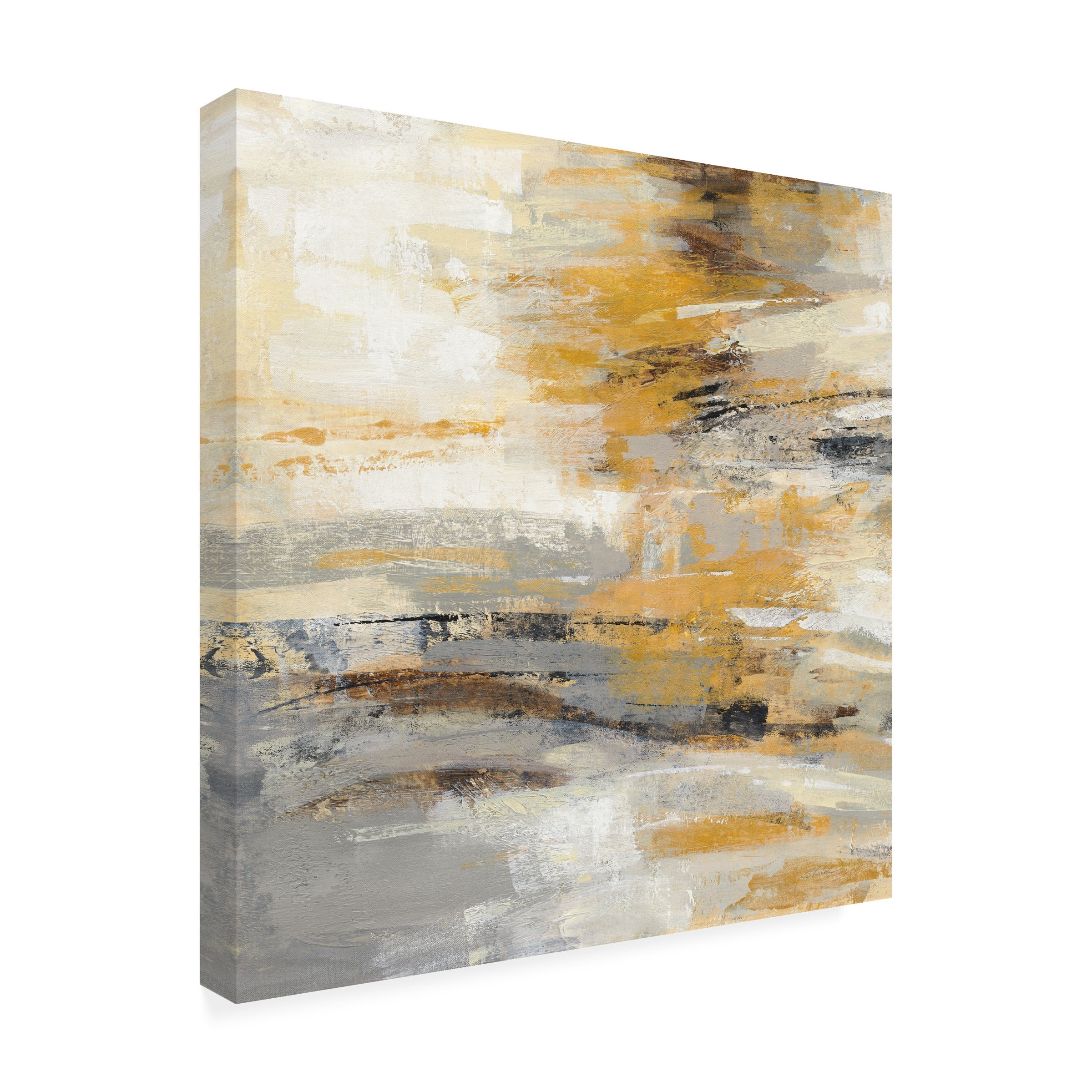 Trademark Fine Art 'Golden Dust Crop' Canvas Art by Silvia Vassileva