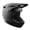 Stain Black, variant on TSG - Sentinel Full Face Downhill Mountain Biking Helmet, MTB, Racing, EPS Foam