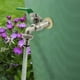 thumbnail image 5 of Pasamuros de latón de acero inoxidable de alta calidad de 3/4 pulgadas (20/27) + 2 juntas de goma gratis, pasamuros para grifos de agua, barril de lluvia, contenedor, tanque IBC, 5 of 5