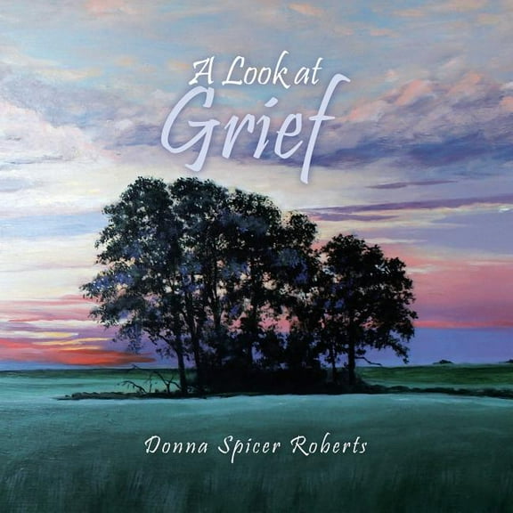 A Look at Grief (Paperback)