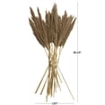 thumbnail image 3 of 35" Grass Dried Plant Natural Foliage Pampas Bouquet with Long Stems, by DecMode, 3 of 7