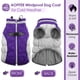 thumbnail image 2 of Abrigo para perros AOFITEE, impermeable, reflectante, de invierno, morado, para perros, 2 of 6
