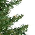 thumbnail image 6 of Northlight Pre-Lit Full Northern Pine Artificial Commercial Christmas Tree - 14' - Clear Lights, 6 of 7