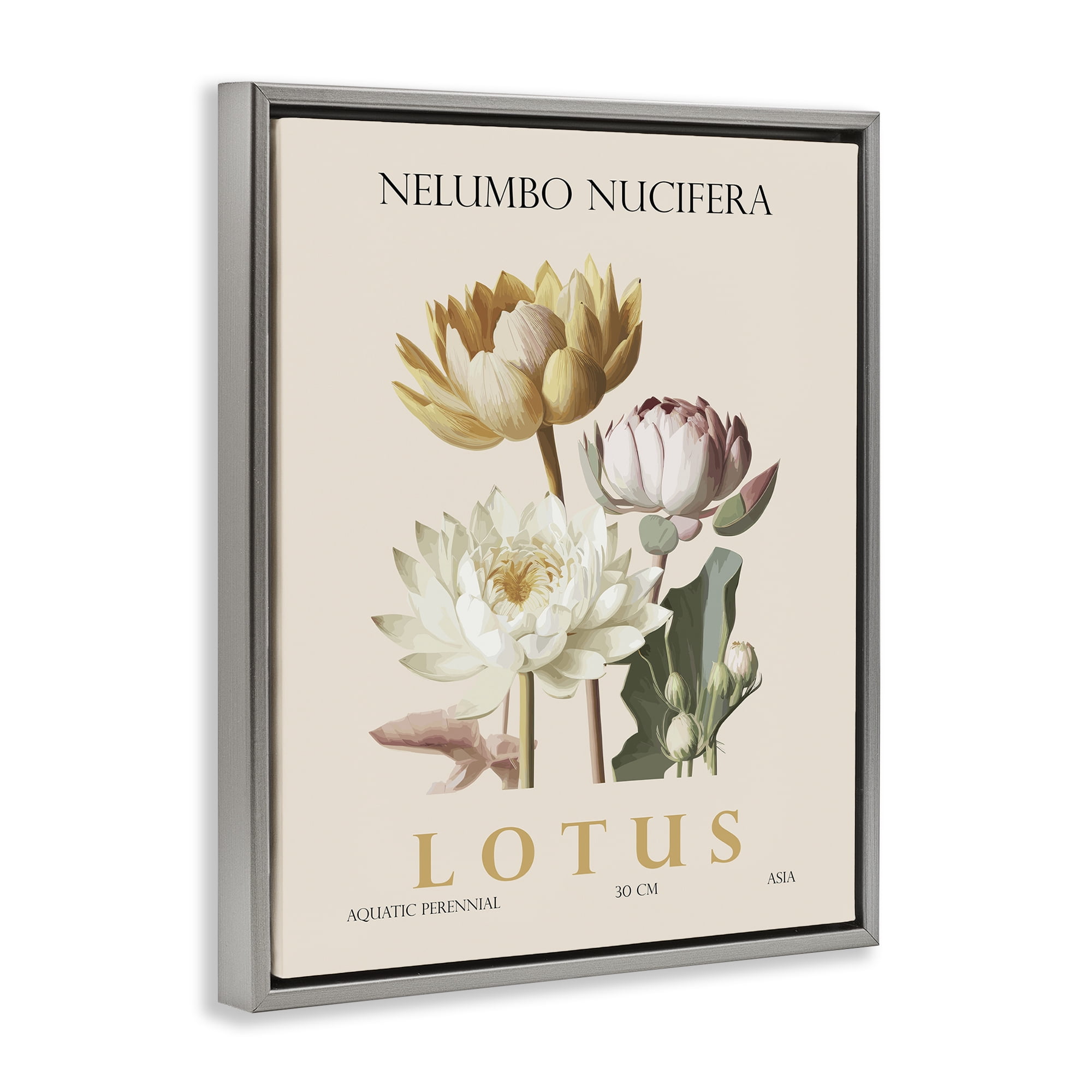Stupell Industries Natural Lotus Bundle Gray Framed Floater Canvas Wall Art, design by Christopher Giampietro
