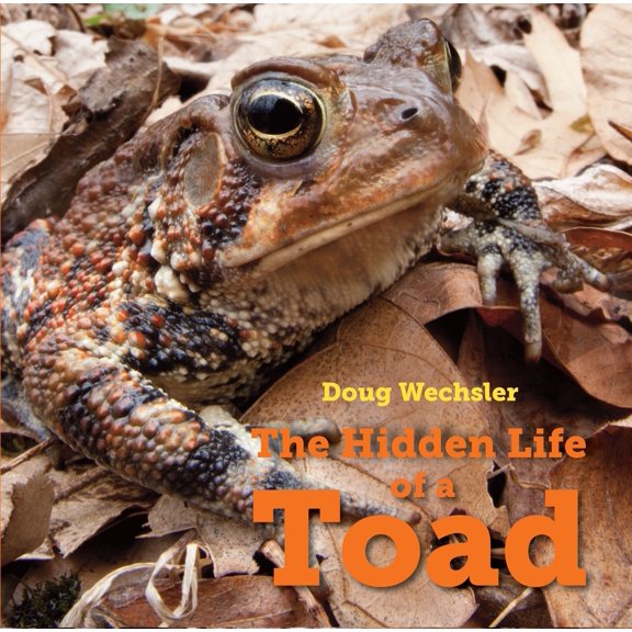 Pre-Owned The Hidden Life of a Toad (Hardcover) 158089738X 9781580897389