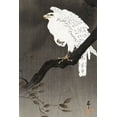 thumbnail image 2 of Koson, Ohara 17x24 White Modern Wood Framed Museum Art Print Titled - Snowy eagle on a tree branch, 2 of 4