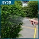 thumbnail image 1 of High Pressure Handheld Water Nozzle Portable Mutifunctional Water Spray Durable Brass Nozzle Gardening Sprayer Car AccessoriesPaint bakingChina He Qiyong unisex, 1 of 1