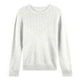 thumbnail image 4 of Fiaer Women's Sweaters Crew Neck Fall Winter Lightweight Plus Size Long Sleeve Slim Fit Trendy Knit Tops WH2 XL, 4 of 4