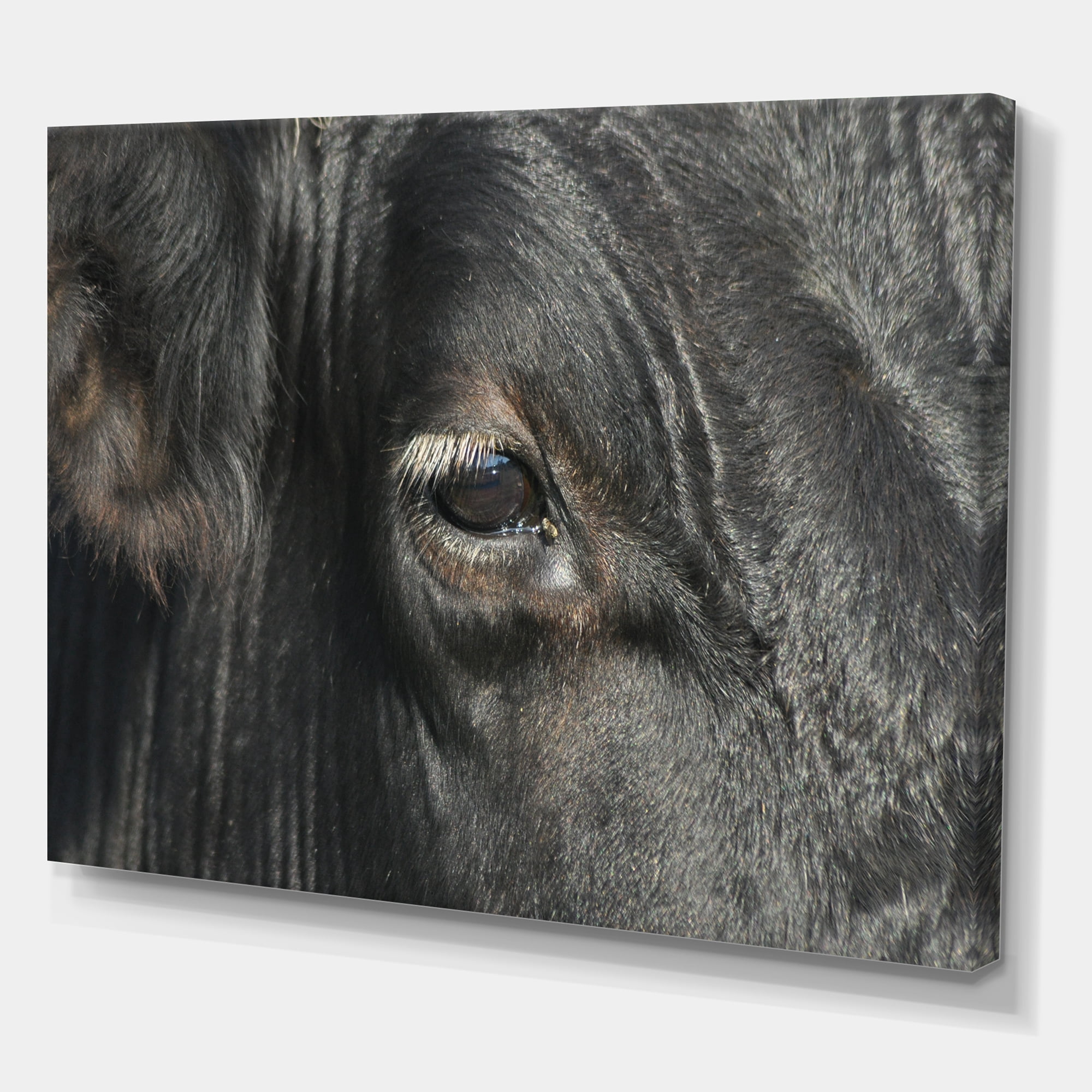 Designart ' Close-Up Of Cow Eye ' Farmhouse Canvas Wall Art Print