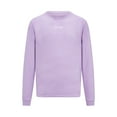 thumbnail image 4 of Mercedes AMG Petronas F1 Team Mens Retro Long Sleeve Lilac/Mint/Blue T-shirt, 4 of 6