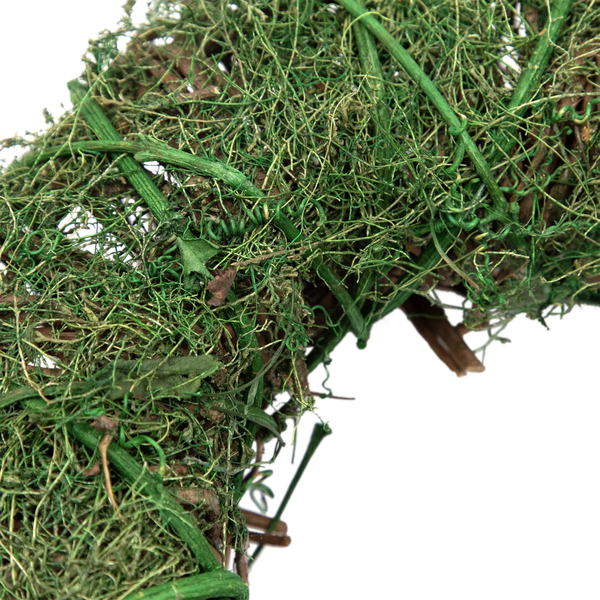 Northlight Green Moss and Twig Artificial Spring Wreath, 12-Inch