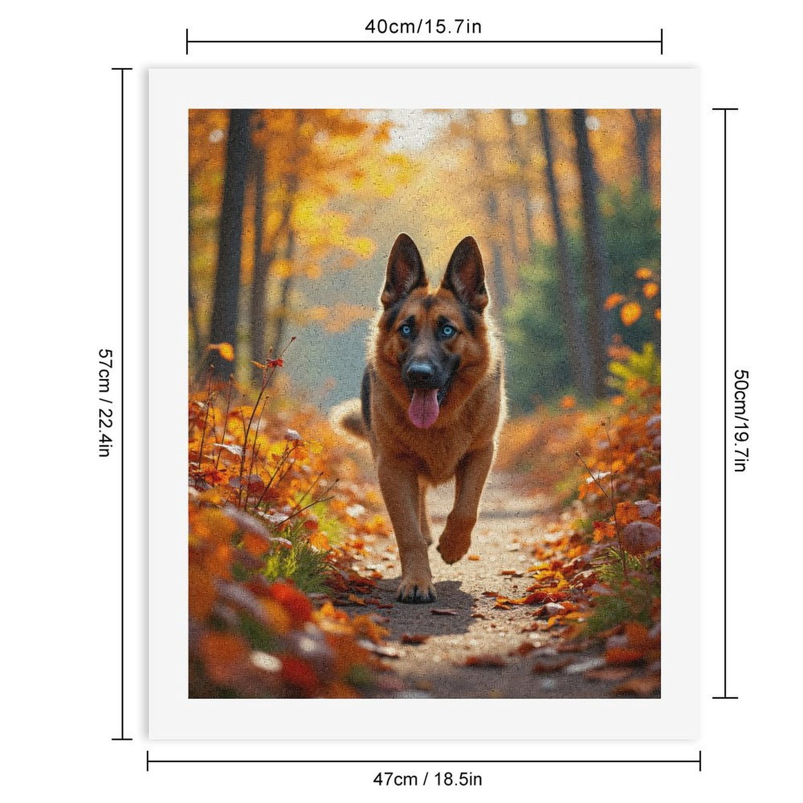 Paint by Numbers Kit for Adults, Autumn Forest German Shepherd Walk Paint by Numbers, Easy Paint by Numbers Kit for Adults Beginner, DIY Adult Paint by Number Kits on Canvas, Home Decor