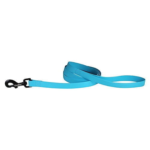 leash light