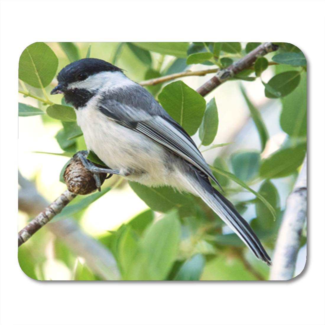 Mousepad Stoks Mousepad Bird Mousepad Cute Birds Black White Mouse pad Friends gift Desk Accessories Mouse mat Square Mouse Pad LLC95