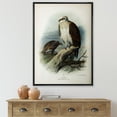 thumbnail image 2 of Ancient Bird Life VI 24 in x 32 in Framed Painting Canvas Art Print, by Designart, 2 of 5