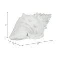 thumbnail image 4 of Conch Shell Sculpture for Home Decor - Coastal Resin Figurine for Bathroom, Office Shelf, and Coffee Table Display - Nautical Conch Accent for Living Room and Beach-Inspired Rooms - 5", White, 4 of 13