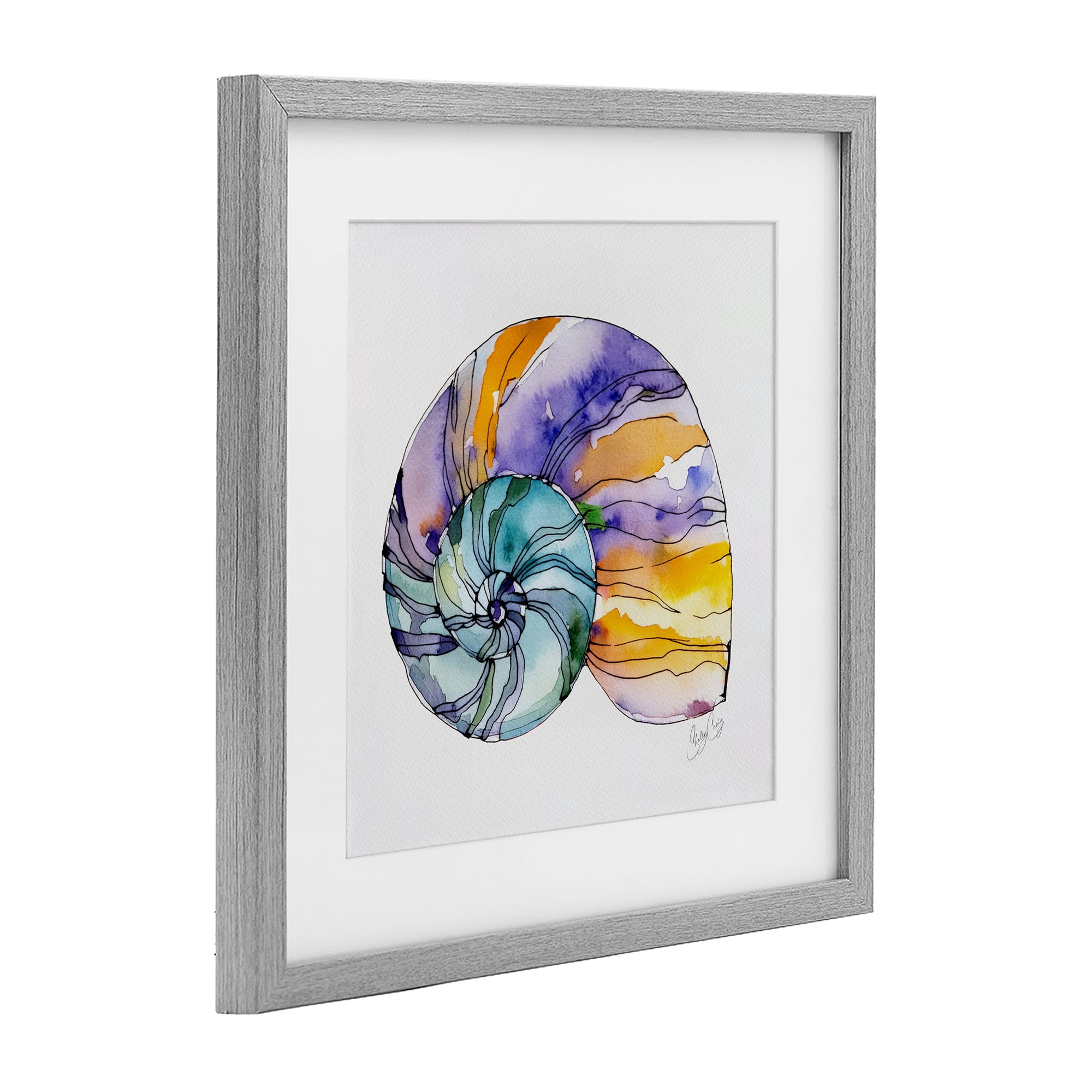 Stupell Industries Sunlit Striped Nautilus Gray Framed Print Under Glass, design by Shelly Craig