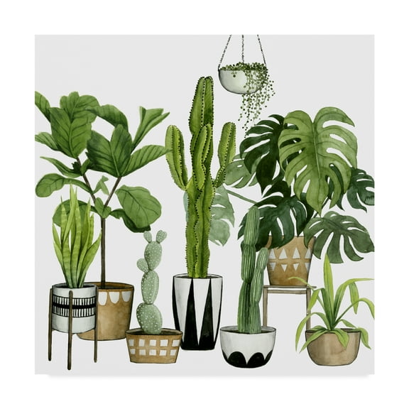 Trademark Fine Art 'Plant Haven I' Canvas Art by Grace Popp