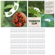 thumbnail image 3 of 100 Piezas de Soporte para Plantas, Pinzas de Jardín, Pinzas de Tomate, Herramienta de Jardinería, Hacen Que Las Verduras Del Jardín Crezcan de Forma Macarena Clips de soporte para plantas, 3 of 8