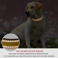 thumbnail image 4 of YSTINNG Reflective Dog Collar with Buckle Adjustable Safety Nylon Collars for Small Medium Large Dogs, Brown S YD72-107, 4 of 7