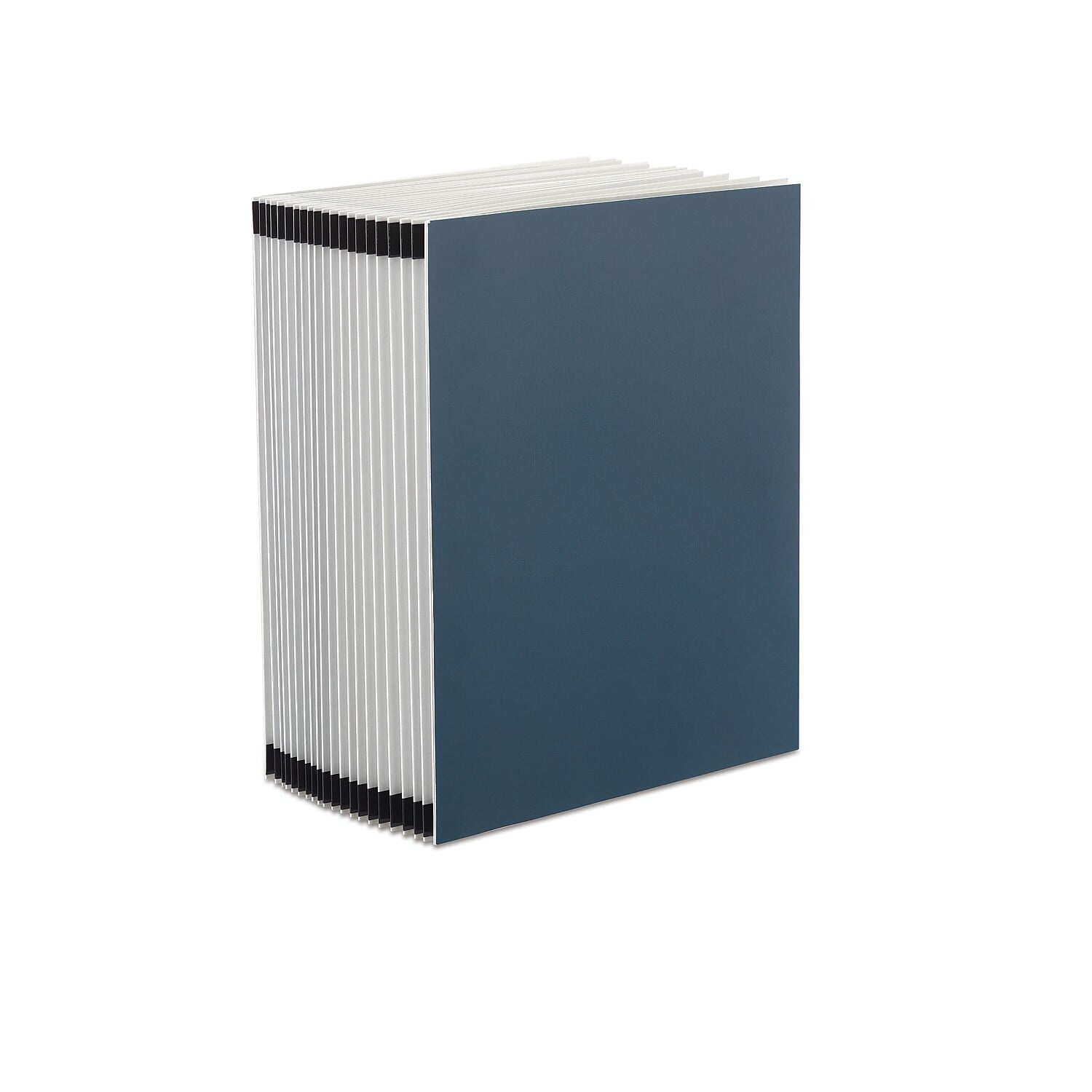 Staples EveryDay Poly General File Sorter Blue (3EDFS) TR119982/119982 ...