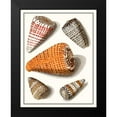 thumbnail image 2 of Vision Studio 12x14 Black Modern Framed Museum Art Print Titled - Collected Shells IX, 2 of 5
