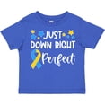 thumbnail image 3 of Inktastic Just Down Right Perfect Down Syndrome Awareness Ribbon Boys or Girls Toddler T-Shirt, 3 of 5
