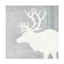 Trademark Fine Art 'Woodland Animal II' Canvas Art by Wild Apple Portfolio