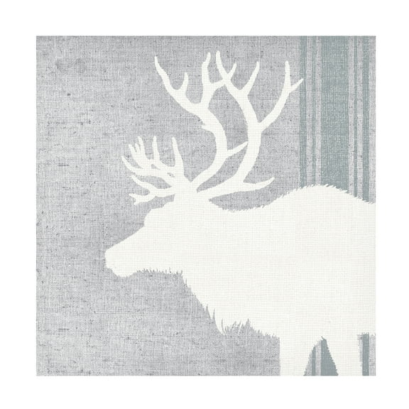 Trademark Fine Art 'Woodland Animal II' Canvas Art by Wild Apple Portfolio