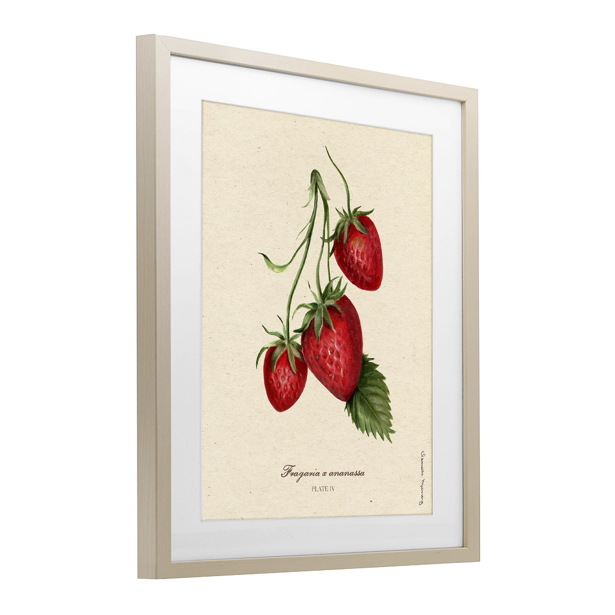 Stupell Industries Strawberry Fruit Portrait Birch Framed Print Under Glass, design by Danielle Murray