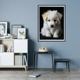 thumbnail image 7 of Diamond Art Kit for Adults, Adorable Puppy Portrait Soft Fur Diamond Painting for Adults Beginners, DIY Diamond Art Painting Kits, 5D Diamond Painting Crafts for Home Decor 12x16 Frameless, 7 of 7