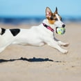 thumbnail image 4 of Dog Ball  Rubber Dog Ball  Interactive Toy  Bite Resistant Tooth Training Toys  Fetch Toy for Small  Medium and Large Dogs, 4 of 5