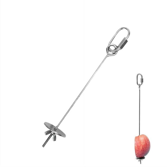 Bird Food Holder Stainless Steel Parrot Hanging Vegetable Fruit Feeder Bird Treat Skewer, Birds Foraging Toys for Macaw Parakeet Budgie