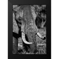 thumbnail image 2 of Niassa Lion Project 11x14 Black Modern Framed Museum Art Print Titled - Tusks, 2 of 5