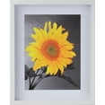 thumbnail image 5 of 2-3/16" Deep Polystyrene Shadow Box Picture Frame - by WholesaleArtsFrames-com 5x5 2880 Series - White - Made In USA, 5 of 6