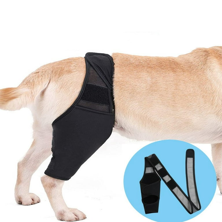 Ofocase Dog Knee Brace Dog Leg Brace for Torn acl Hind Leg Dog Hip Brace  Adjustable Rear Leg Braces-XL