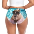thumbnail image 3 of Womens Underwear Island Vacation Guinea Pig Cuteness No Show Seamless Underwear for Women, Soft Stretch Women's Panties, Hipster Ladies Panties Bikini Underwear Briefs, 3 of 6