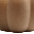 thumbnail image 6 of Better Homes & Gardens Flocked Pumpkin Jar Candle, Pumpkin Snickerdoodle Swirl, 2-Wick, 12.7 oz, 6 of 10