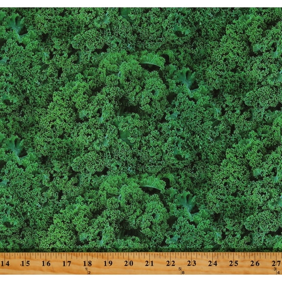 Cotton Kale Vegetable Produce Leaves Leaf Food Festival Green Cotton Fabric Print by the Yard (642GREEN)