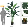 thumbnail image 3 of Artificial Bird of Paradise Plant 6FT(72in) Fake Palm Tree for Indoor Outdoor Modern Decor Faux Plants for Home Office Perfect Housewarming Gift with 17 Trunks Faux Leaves 1 Pack, 3 of 7